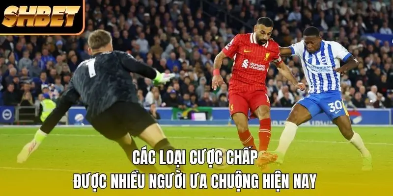 Các loại cược chấp được nhiều người ưa chuộng hiện nay Các loại cược chấp được nhiều người ưa chuộng hiện nay