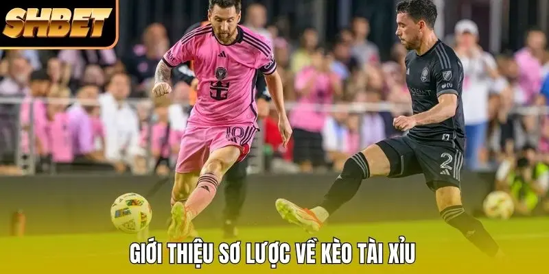 Giới thiệu về kèo tài xỉu Giới thiệu về kèo tài xỉu