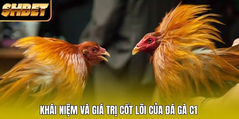 Khái niệm và giá trị cốt lõi của đá gà C1