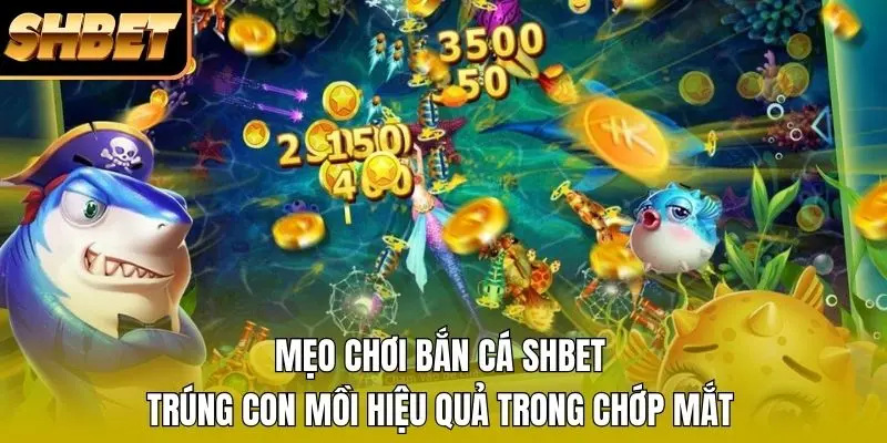 1 Mẹo Chơi Bắn Cá SHBET Trúng Con Mồi Hiệu Quả Trong Chớp Mắt Mẹo Chơi Bắn Cá SHBET Trúng Con Mồi Hiệu Quả Trong Chớp Mắt