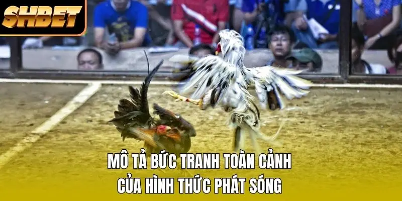 Mô tả bức tranh toàn cảnh của hình thức phát sóng
