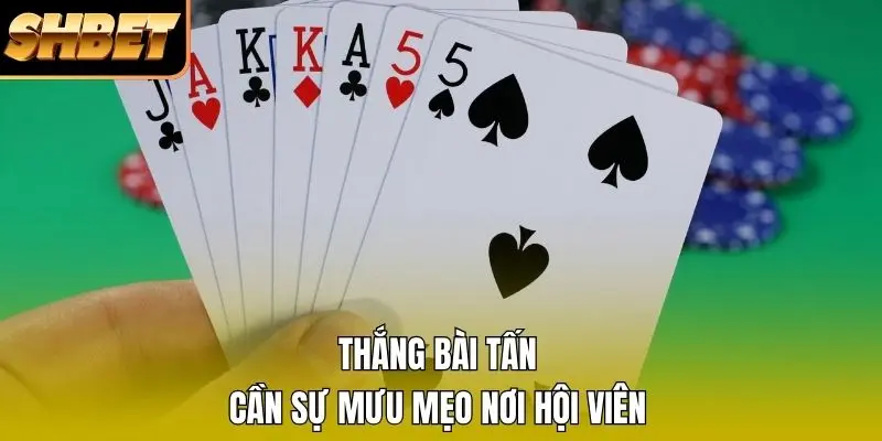 Thắng bài Tấn cần sự mưu mẹo nơi hội viên Thắng bài Tấn cần sự mưu mẹo nơi hội viên