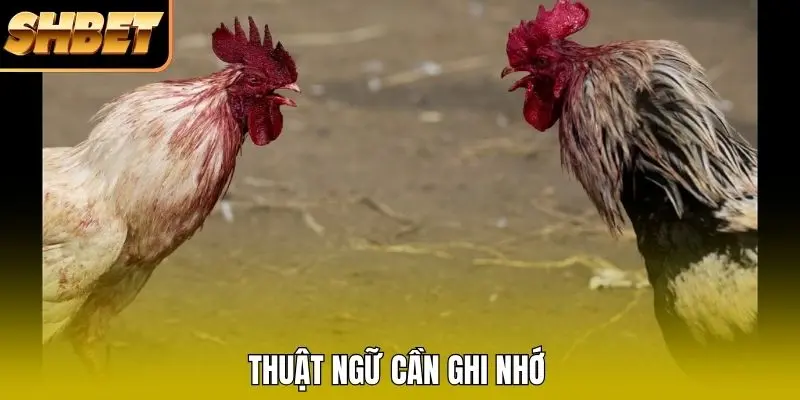 Thuật ngữ cần ghi nhớ Thuật ngữ cần ghi nhớ