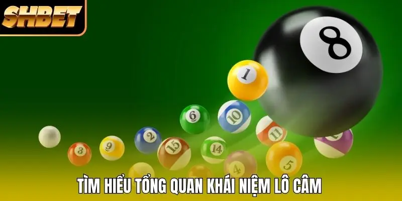 Tìm hiểu tổng quan khái niệm lô câm Tìm hiểu tổng quan khái niệm lô câm