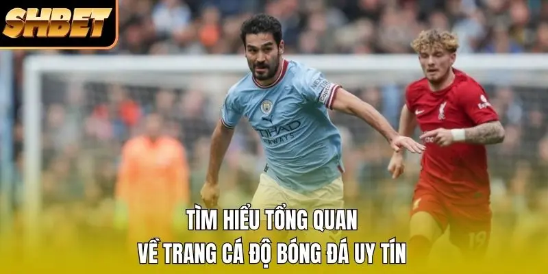 Tìm hiểu tổng quan về trang cá độ bóng đá uy tín Tìm hiểu tổng quan về trang cá độ bóng đá uy tín