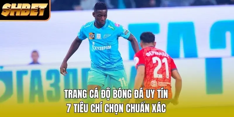 1 Trang Cá Độ Bóng Đá Uy Tín - 7 Tiêu Chí Chọn Chuẩn Xác Trang cá độ bóng đá uy tín