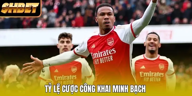 Tỷ lệ cược công khai minh bạch Tỷ lệ cược công khai minh bạch