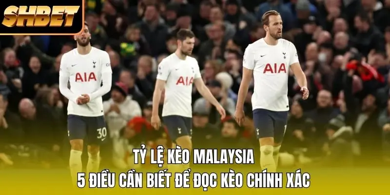 Khái niệm tỷ lệ kèo malaysia để nắm bắt nhanh Khái niệm tỷ lệ kèo malaysia để nắm bắt nhanh