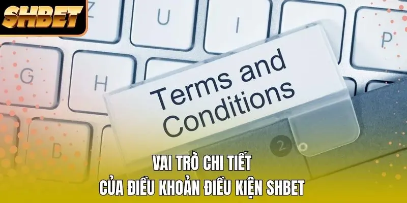 Vai trò chi tiết của điều khoản điều kiện SHBET Vai trò chi tiết của điều khoản điều kiện SHBET